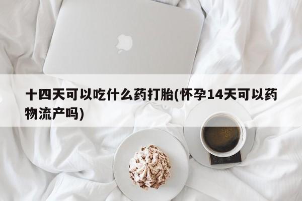 打胎药联系微信十四天可以吃什么药打胎(怀孕14天可以药物流产吗)